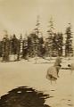 Peter Provenzano Photo Album Image_copy_175